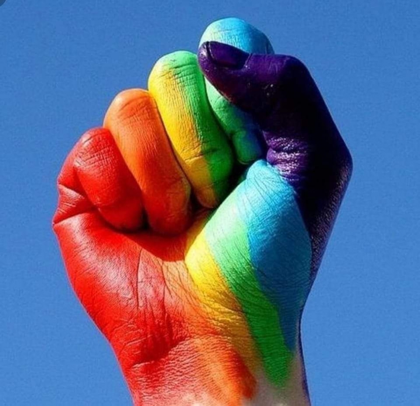28 JUNIO DÍA INTERNACIONAL DEL ORGULLO LGBT+
